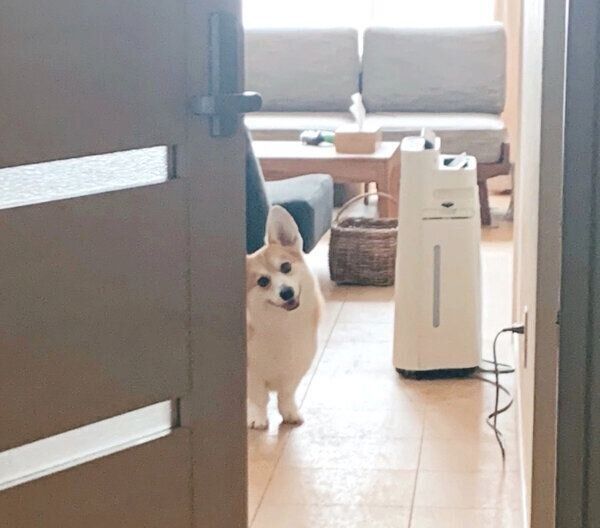 首をかしげるガブちゃん