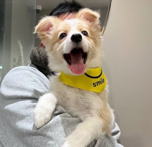 笑顔が可愛いむぎちゃん