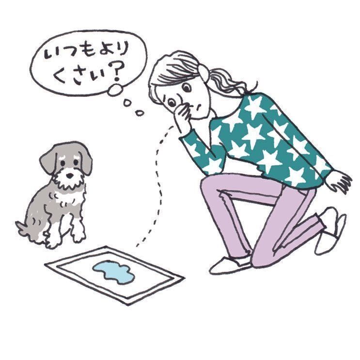 オシッコのニオイが強くなる、血尿が出る、オシッコの回数が増えるときは注意