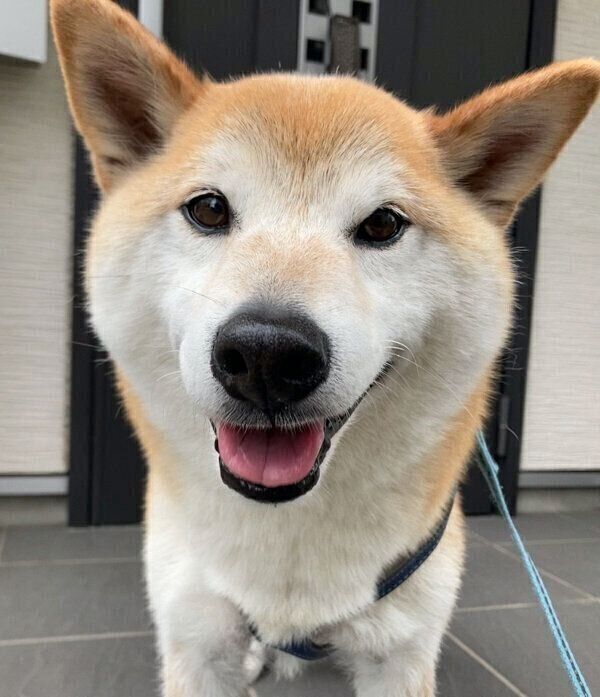 笑顔の福丸くん