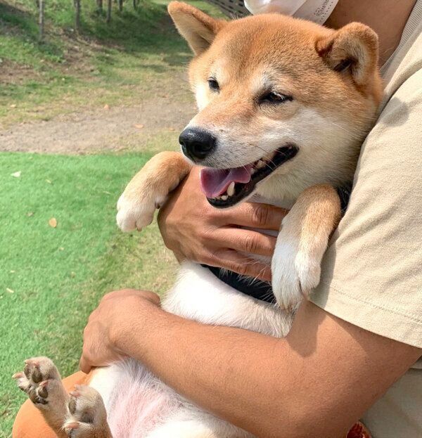 抱っこされるはなちゃん