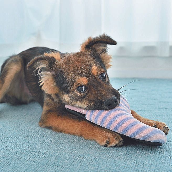 撮影／佐藤正之