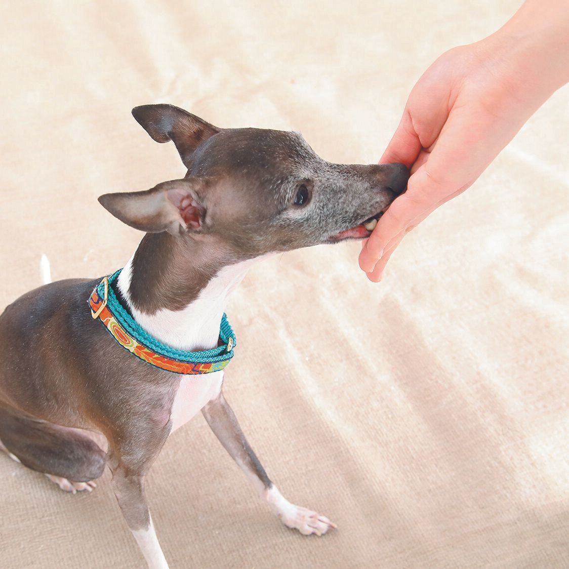 撮影／尾﨑たまき