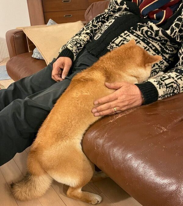 電池切れし、立ったままの体勢で寝てしまうマヤちゃん