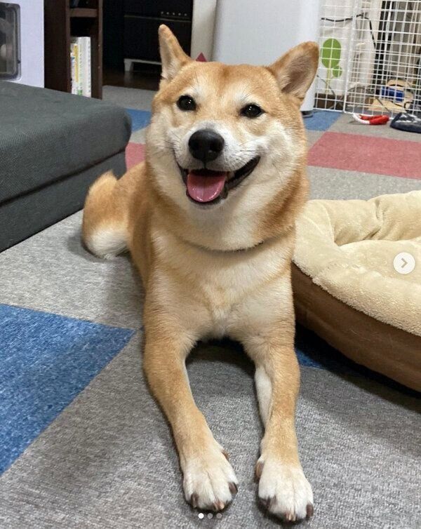 笑顔が可愛い大福くん