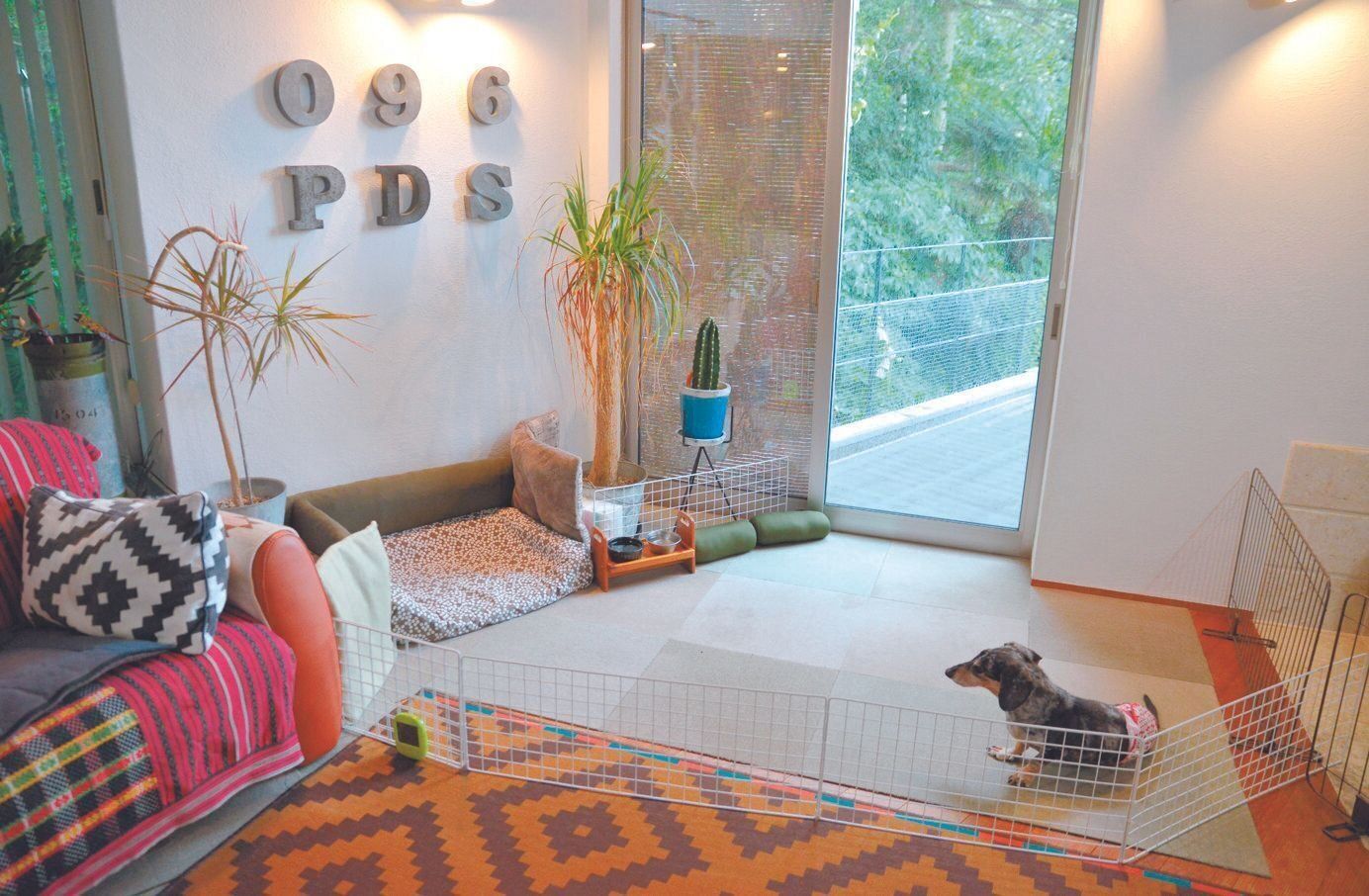 パルくんの生活スペースは柵で仕切り、水のボウルやベッドは常に定位置に