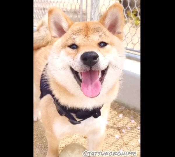 笑顔のタッちゃん