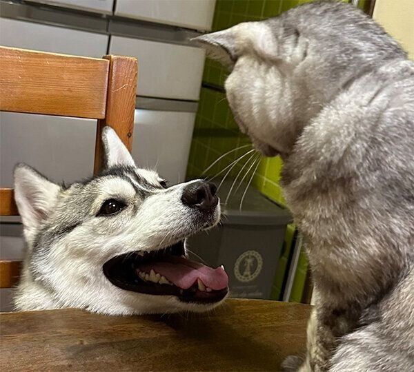 笑顔のテラちゃん