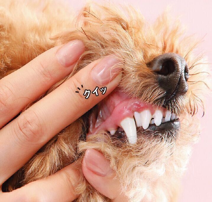 撮影／尾﨑たまき