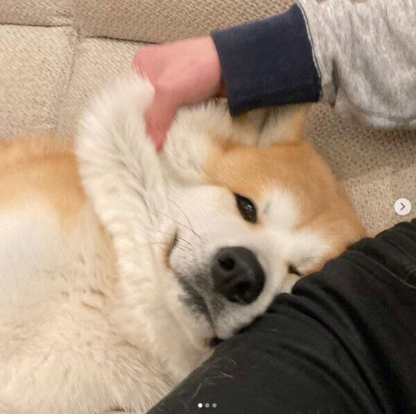 もちもちほっぺが可愛い大吉くん