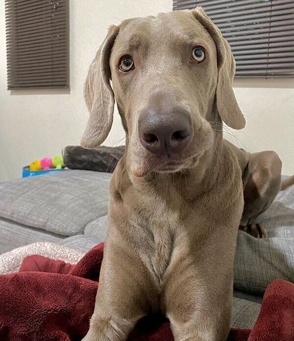 見つめるロアくん