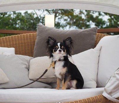 ネスタリゾート神戸