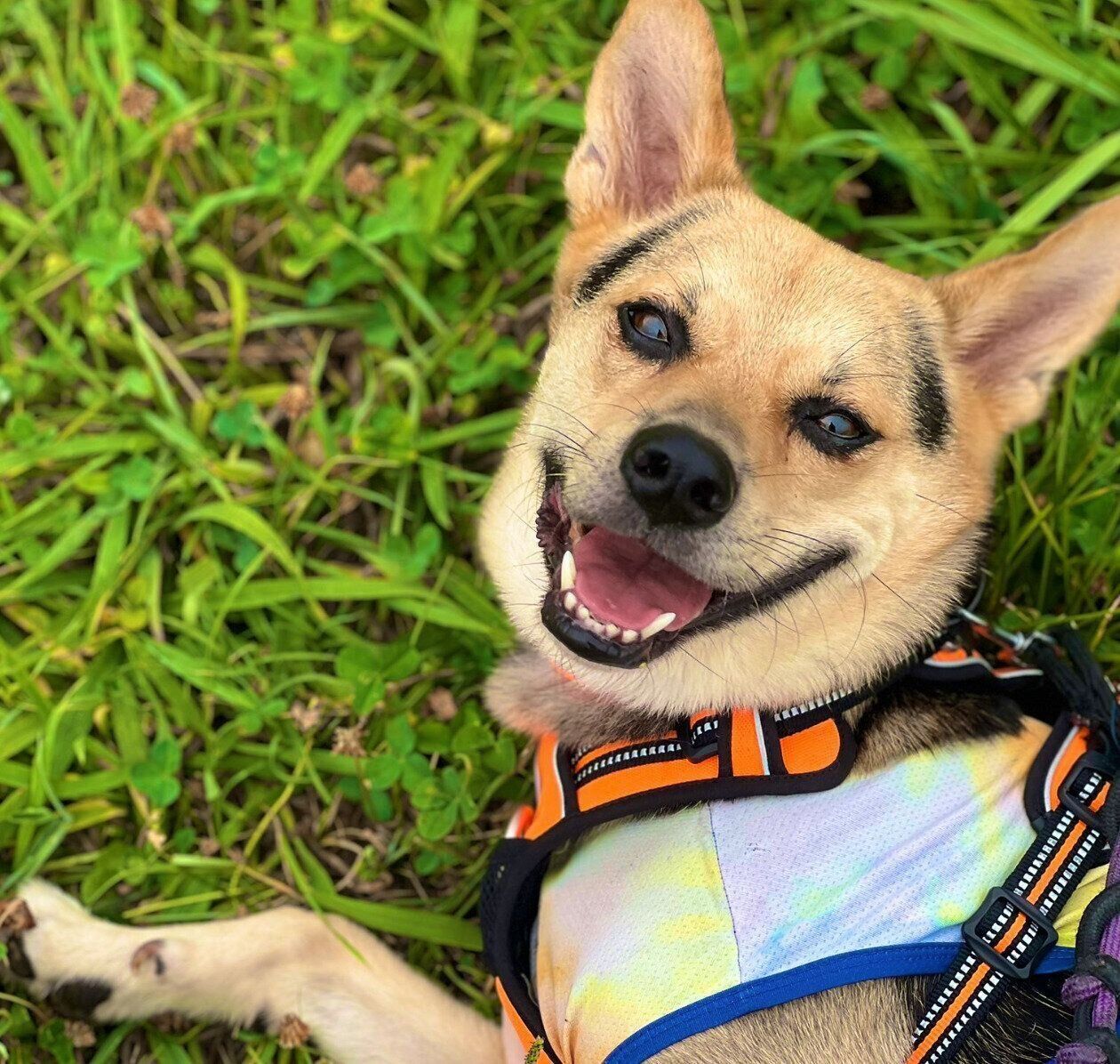 笑顔が可愛いこのちゃん。