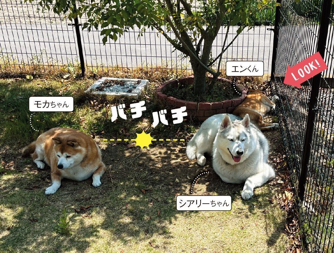 写真提供／Aさん