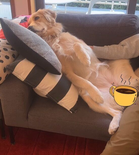 ソファでくつろぐエマちゃん