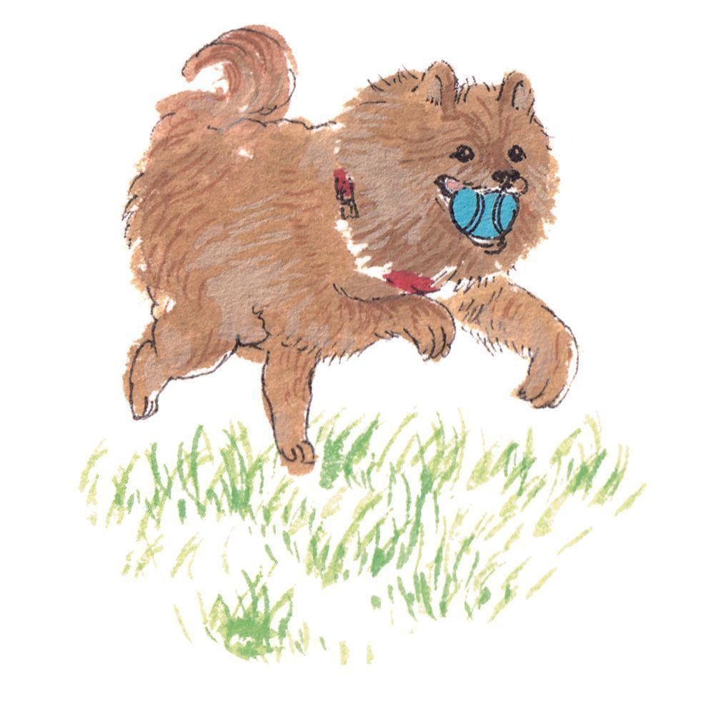 イラスト／フジマツミキ