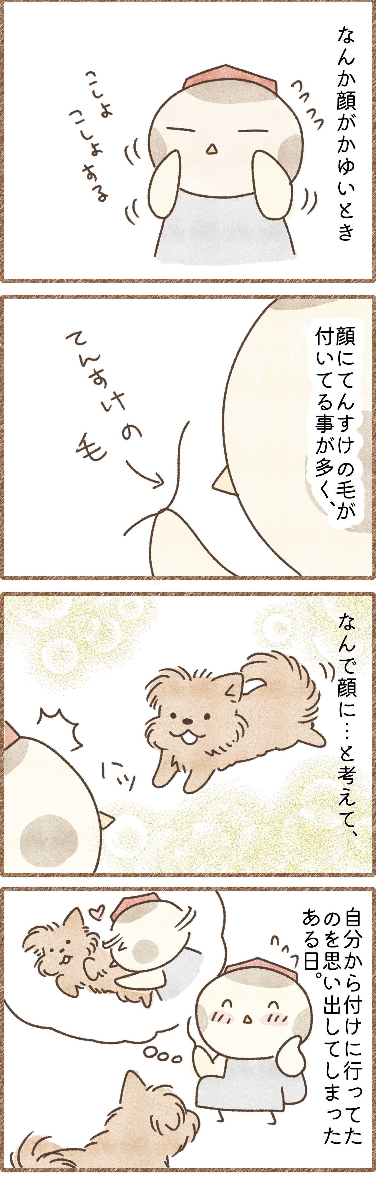 愛犬の毛が顔について思わず笑ってしまう飼い主の漫画