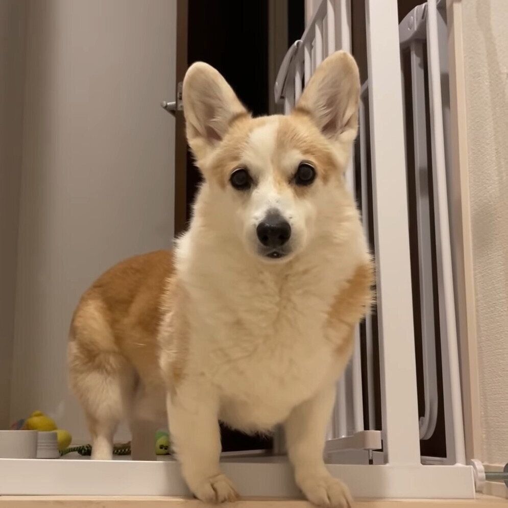 行っちゃうの……？なノエちゃん