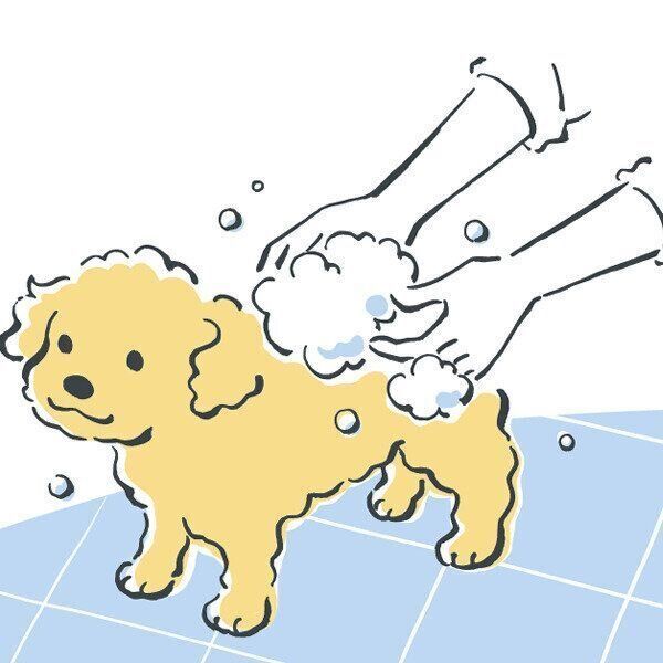 イラスト／林よしえ