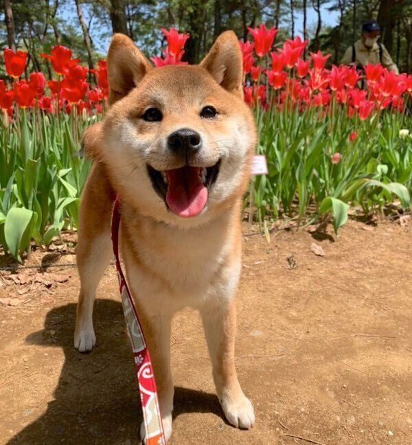 笑顔のいそべくん