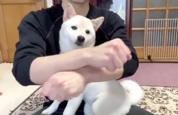 「おやつどっちだ!?」と遊ぶはるちゃん