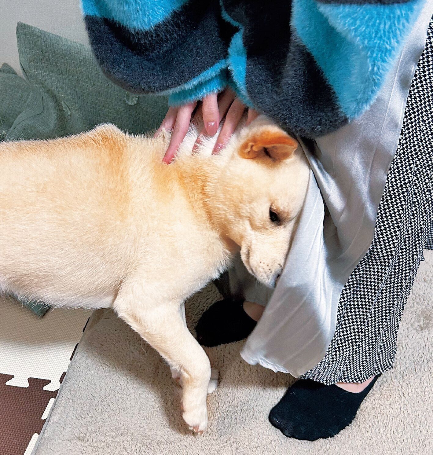 写真提供／広島県 A.A.さん