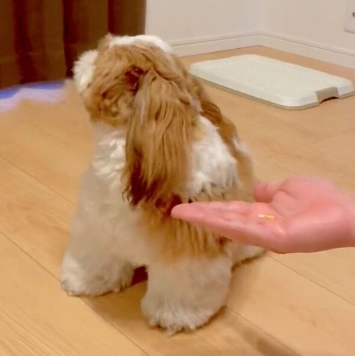 見ないふりをするぽこくん