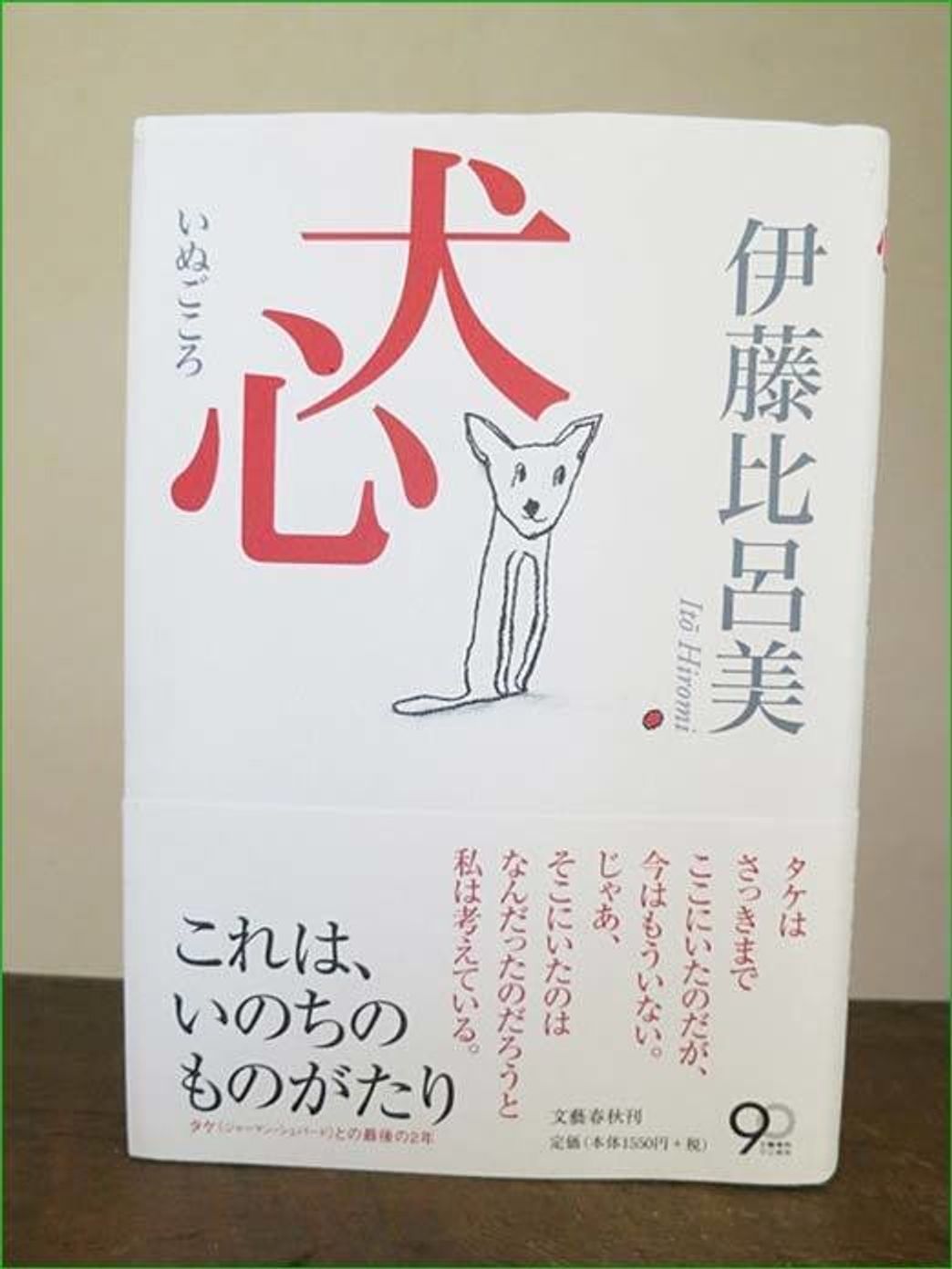 Vol 7 老犬と向き合うということ 愛犬のすこやかアンチエイジング いぬのきもちweb Magazine Vol 7 老犬と向き合うということ 愛犬のすこやかアンチエイジング いぬのきもちweb Magazine