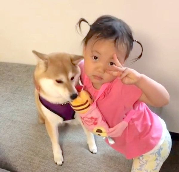 仲良しな柴犬と妹ちゃん