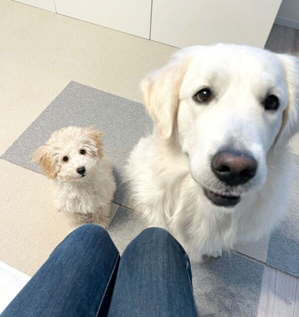 並んで座るむうさんとめるくん