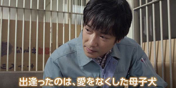 ひまわりと子犬の7日間