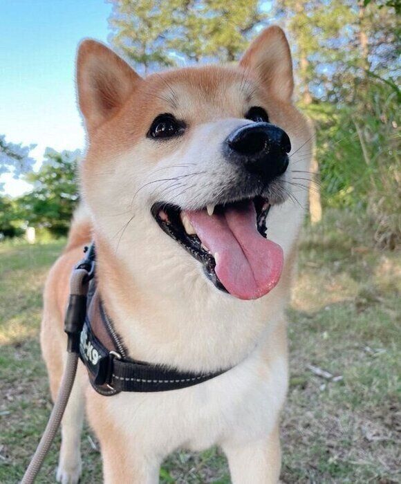 笑顔の栗太郎くん