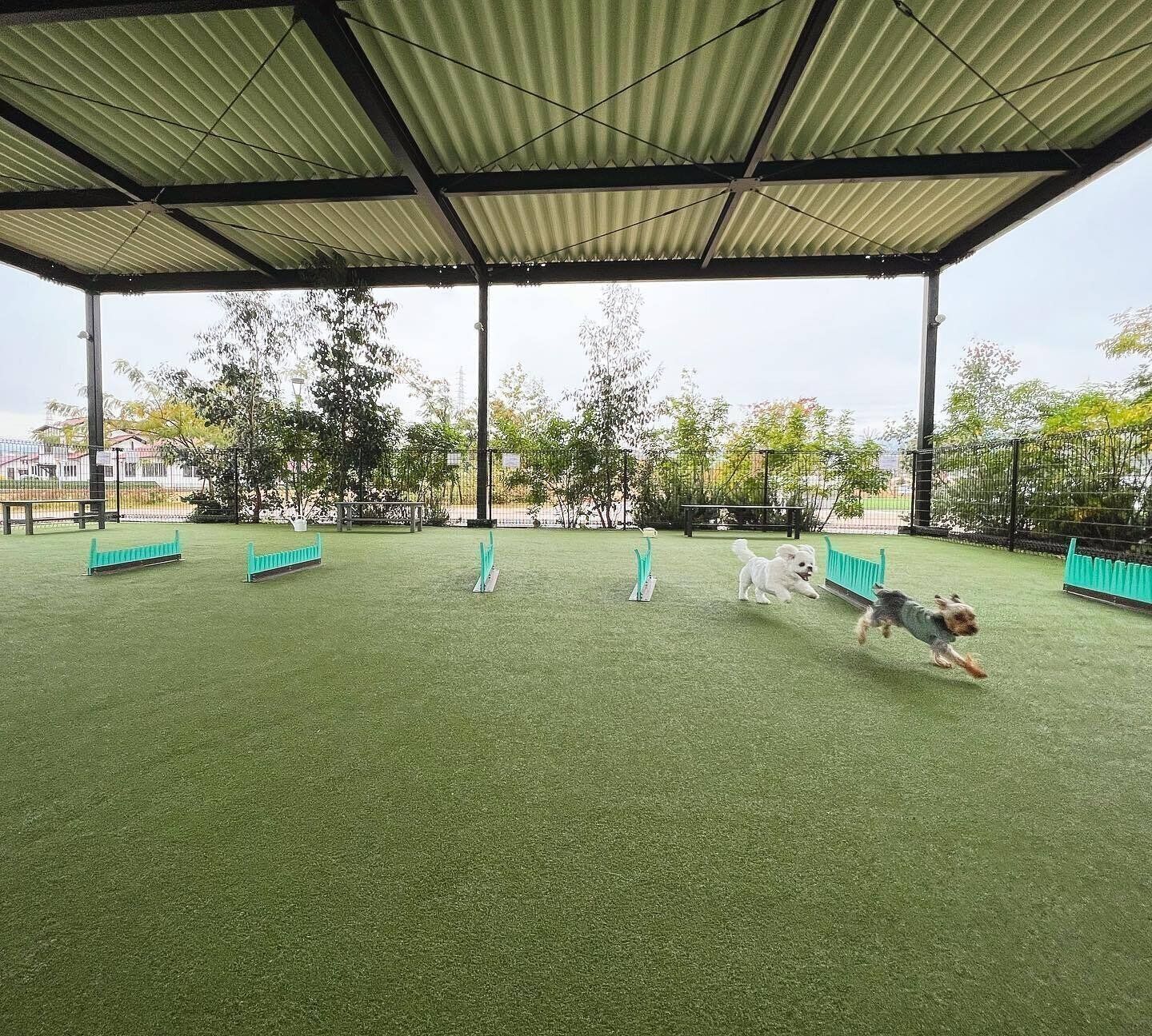 屋根付きのドッグラン