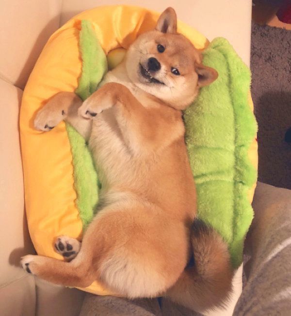 ニヤリと悪いお顔をする龍乃子姫ちゃん