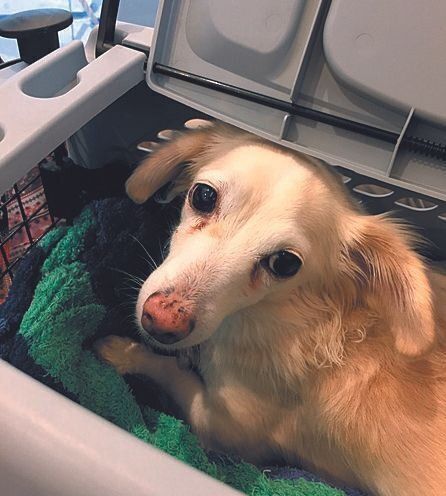 写真提供／Oさん