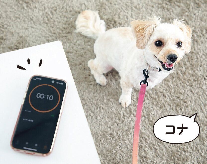 撮影／尾﨑たまき