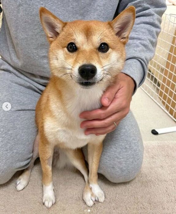 パパさんのそばから離れないはなちゃん