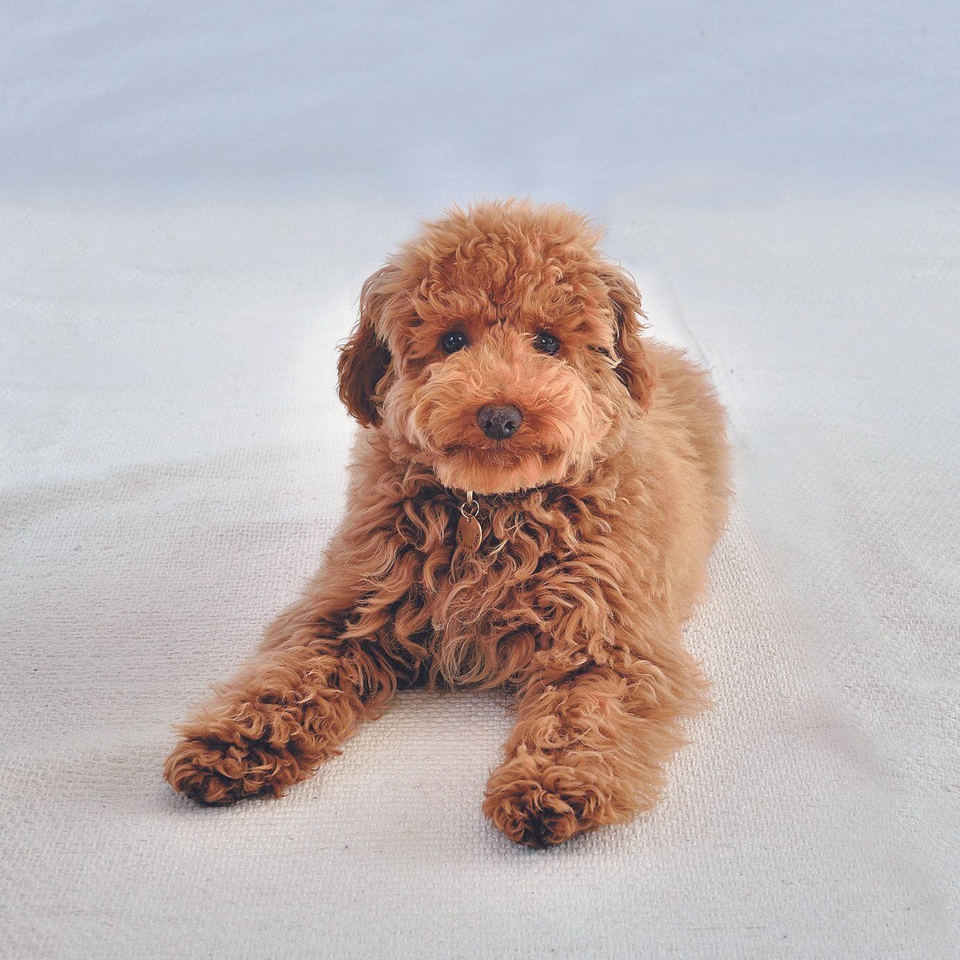 撮影／佐藤正之