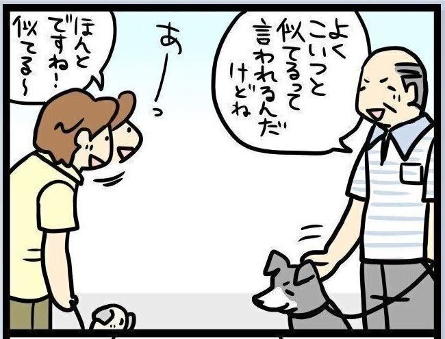 連載「パグ犬・めー」