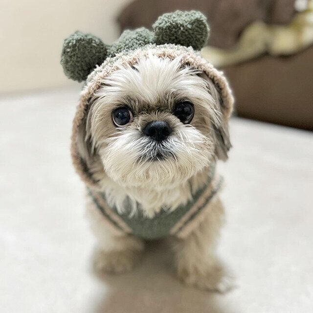 シーズー犬マンガてんぽshihtzu