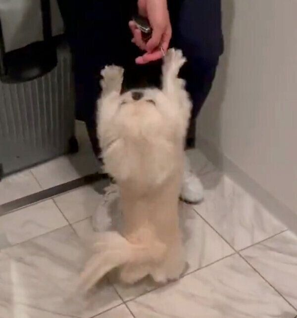 喜ぶモッチちゃん