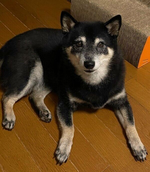 カメラの前でポーズを決める富士ちゃん