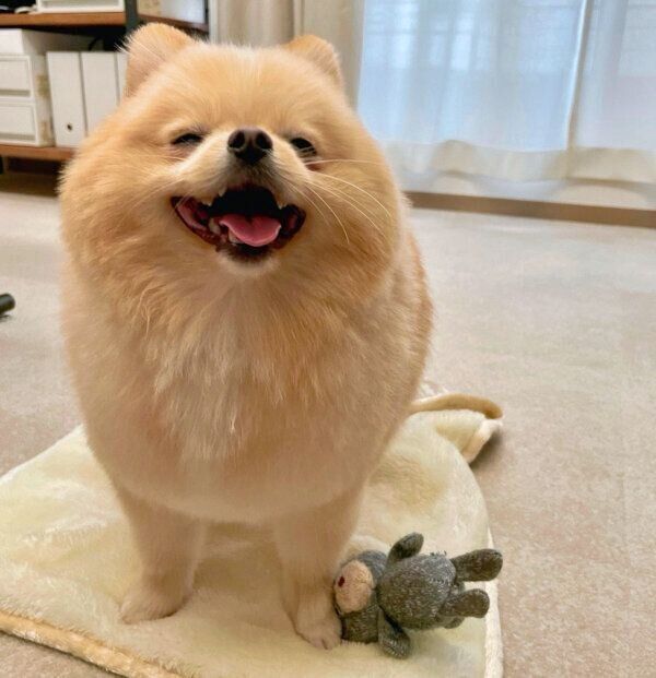 笑顔が可愛いちっちょくん