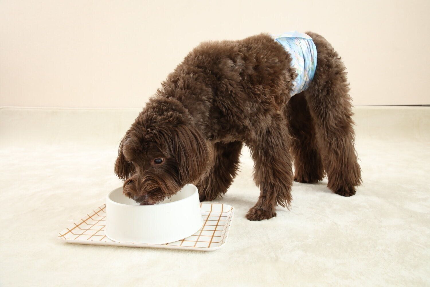 撮影／尾﨑たまき