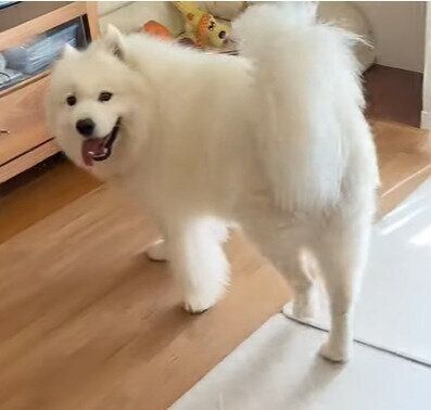 笑顔のサニーちゃん