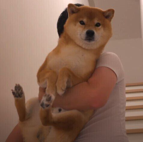 やっとパパが出てきた~♡