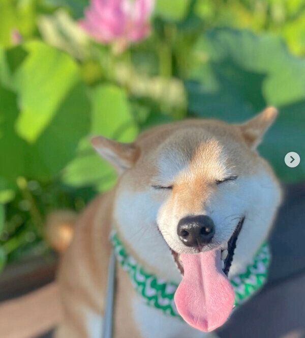 楽しそうな松くん