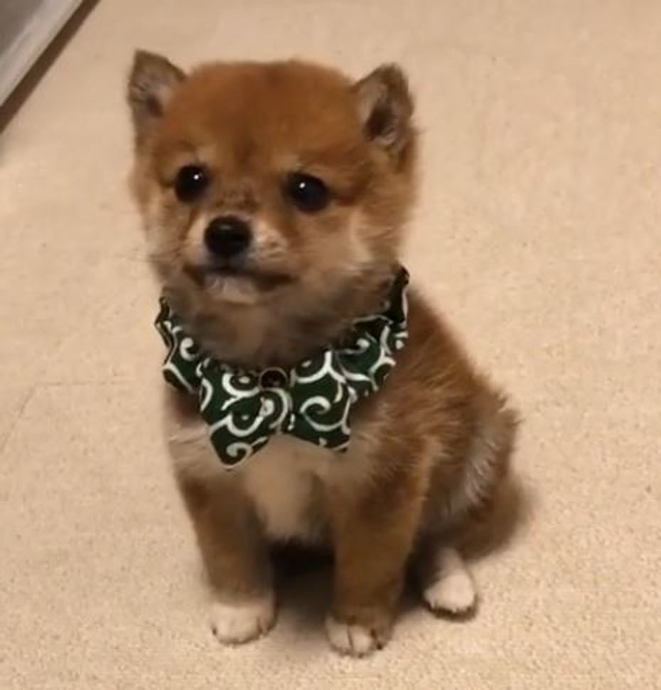 Lhto92qo Rloxm Lhto92qo Rloxm