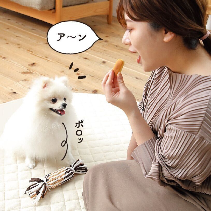 撮影／尾﨑たまき