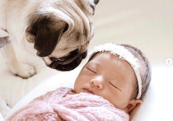 妹ちゃんとぱぐぞうくん